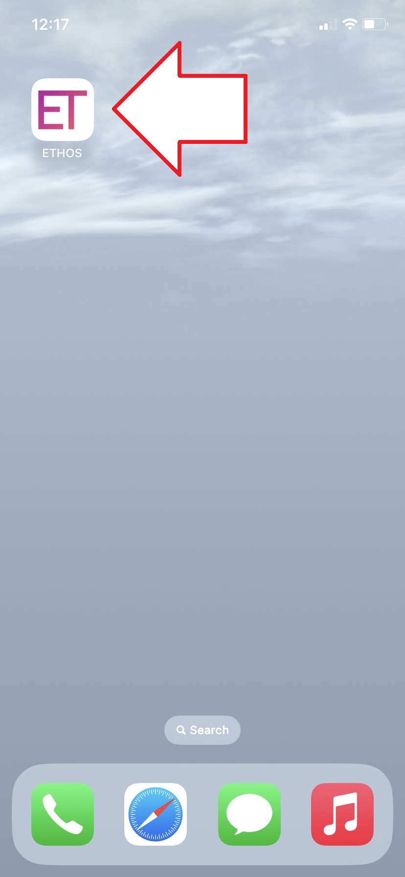 ETHOS on the Home Screen